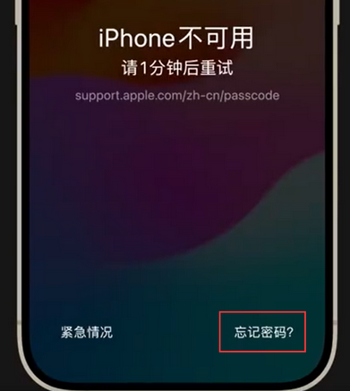 华州苹果手机密码维修分享iPhone忘记了刚设置的密码 