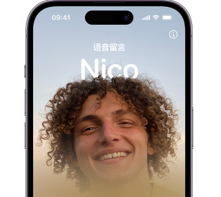 华州苹果15服务站分享iPhone15实时语音留言开启方法 